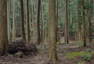 都市部のビル群の画像