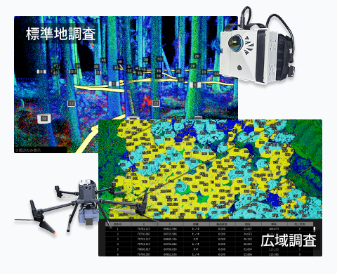 ドローン解析とスマホ計測の連携
